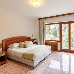 Habitación Estándar con Cama King